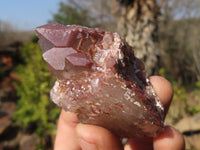 Natural Red Hematoid Quartz Specimens x 12 From Karoi, Zimbabwe - Toprock Gemstones and Minerals 