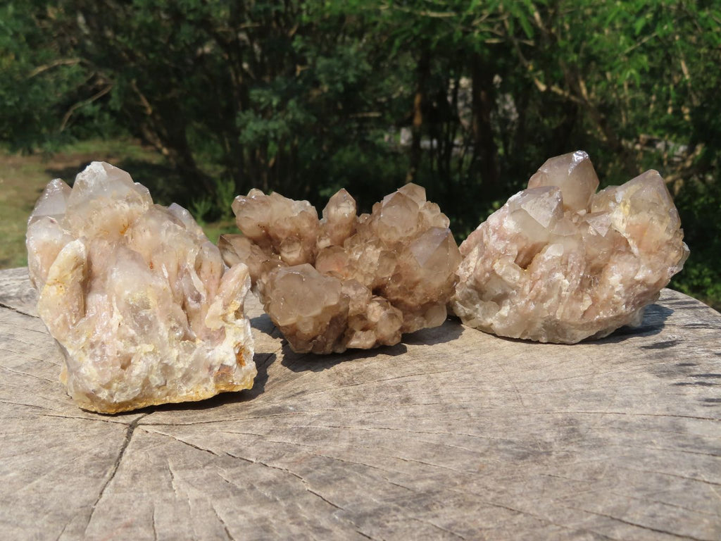 Natural Smokey Quartz Clusters x 3 From Lwena, Congo - TopRock