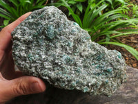 Natural Large Green Emerald In Mica & Quartz Schist Specimen x 1 From Sandawana, Zimbabwe - TopRock