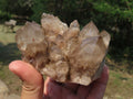 Natural Smokey Quartz Clusters x 3 From Lwena, Congo - TopRock