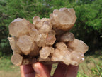 Natural Smokey Quartz Clusters x 3 From Lwena, Congo - TopRock