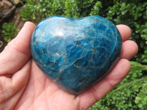 Polished Intense Blue Gemmy Apatite Hearts x 6 From Madagascar - TopRock