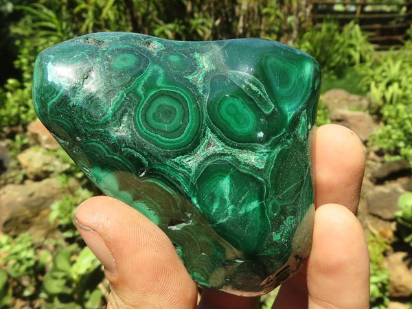 Polished Malachite Free Forms With Stunning Flower & Banding Patterns x 6 From Congo - TopRock