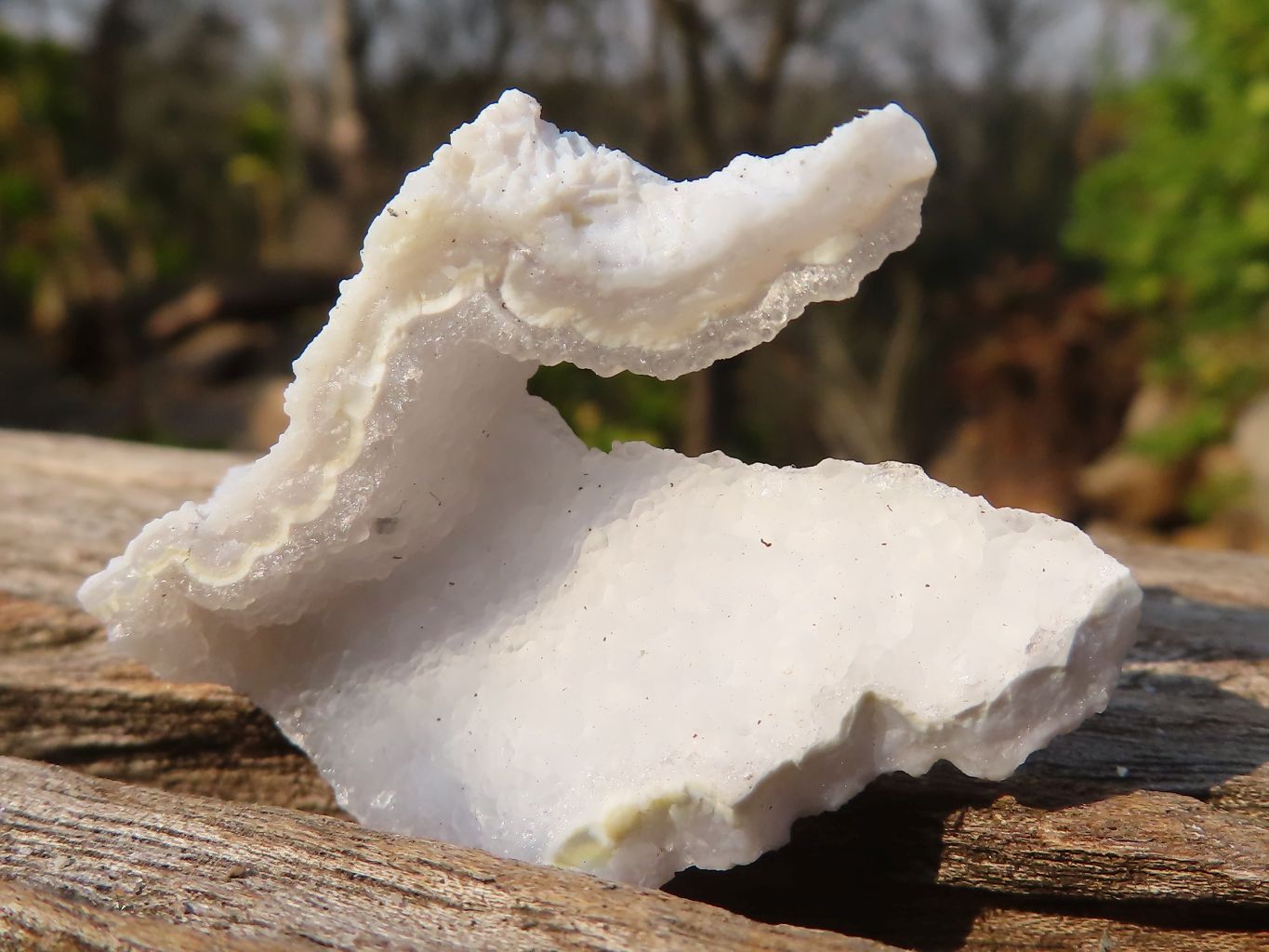 Natural Etched Blue Chalcedony Specimens  x 71 From Nsanje, Malawi - Toprock Gemstones and Minerals 