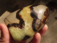 Polished Septaria Standing Free Forms x 4 From Mahajanga, Madagascar - Toprock Gemstones and Minerals 