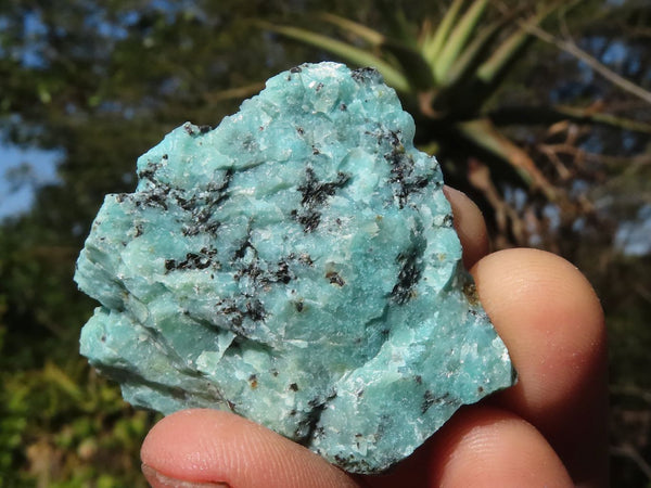 Natural Blue Chrysocolla Cobbed Specimens  x 35 From Southern Africa - Toprock Gemstones and Minerals 