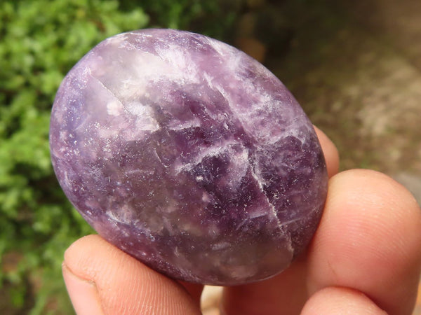 Polished Mini Purple Lepidolite Palm Stones  x 20 From Madagascar - Toprock Gemstones and Minerals 