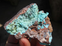 Natural Drusy Coated Chrysocolla Dolomite Specimens x 6 From Congo - Toprock Gemstones and Minerals 
