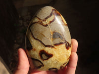 Polished Septaria Standing Free Forms x 4 From Mahajanga, Madagascar - Toprock Gemstones and Minerals 