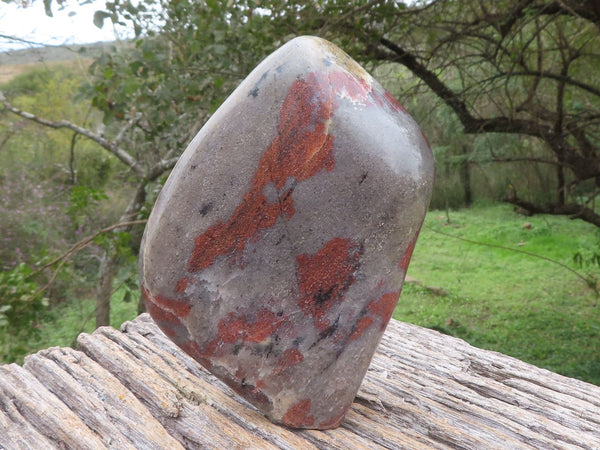 Polished Rare Copper Sunstone Standing Free Form x 1 From Madagascar - TopRock