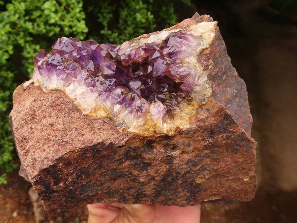Natural Amethyst In Basalt Geode Specimens  x 2 From Zululand, South Africa - TopRock