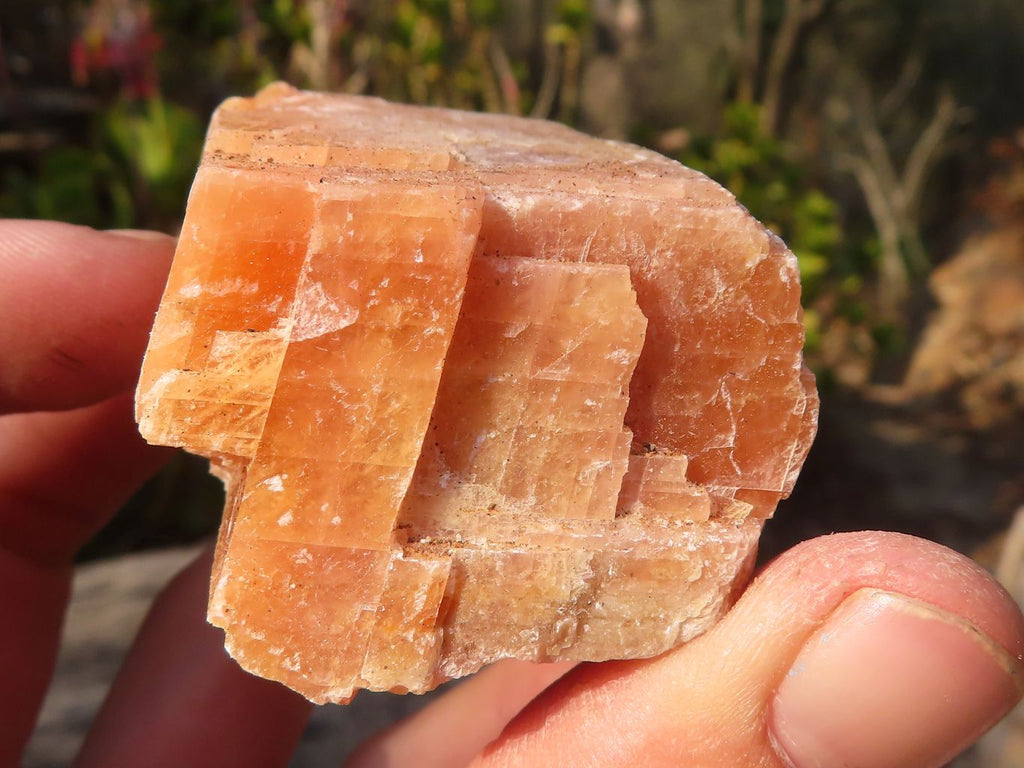 Natural New Sunset Orange Calcite Specimens  x 24 From Spitzkop, Namibia - Toprock Gemstones and Minerals 