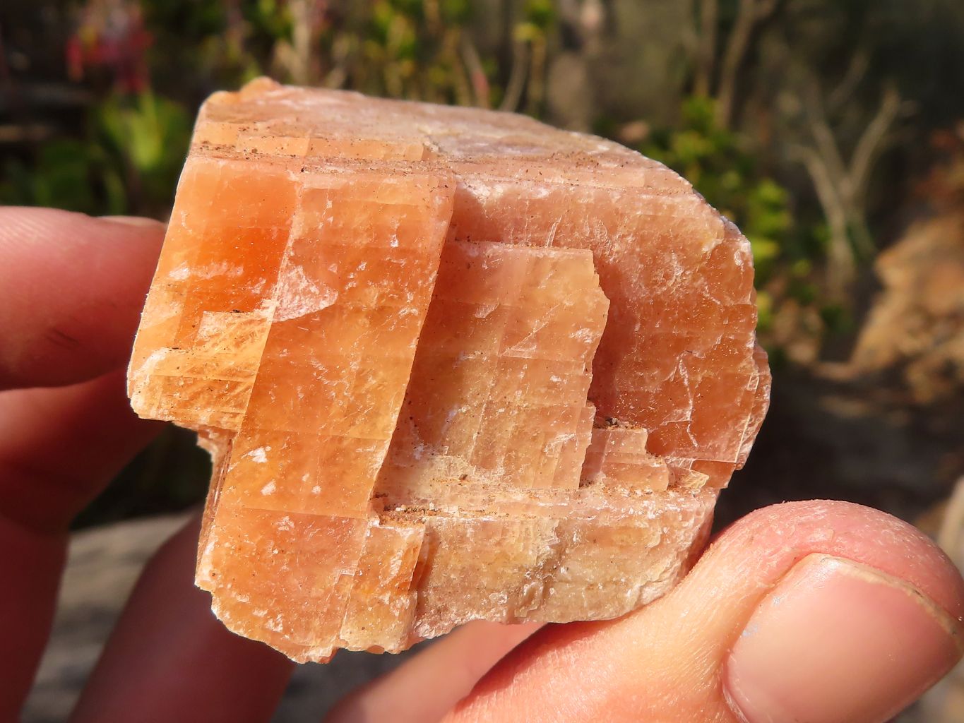 Natural New Sunset Orange Calcite Specimens  x 24 From Spitzkop, Namibia - Toprock Gemstones and Minerals 