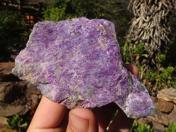 Natural Stichtite & Serpentine Cobbed Specimens  x 12 From Barberton, South Africa - Toprock Gemstones and Minerals 