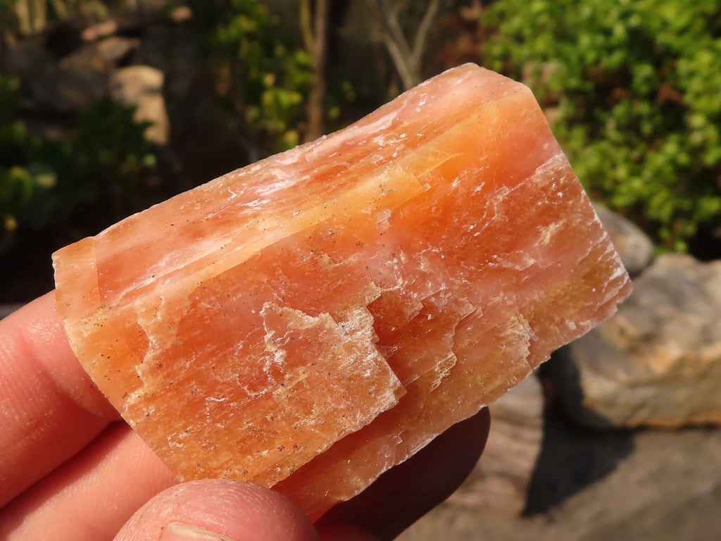 Natural New Sunset Orange Calcite Specimens  x 24 From Spitzkop, Namibia - Toprock Gemstones and Minerals 