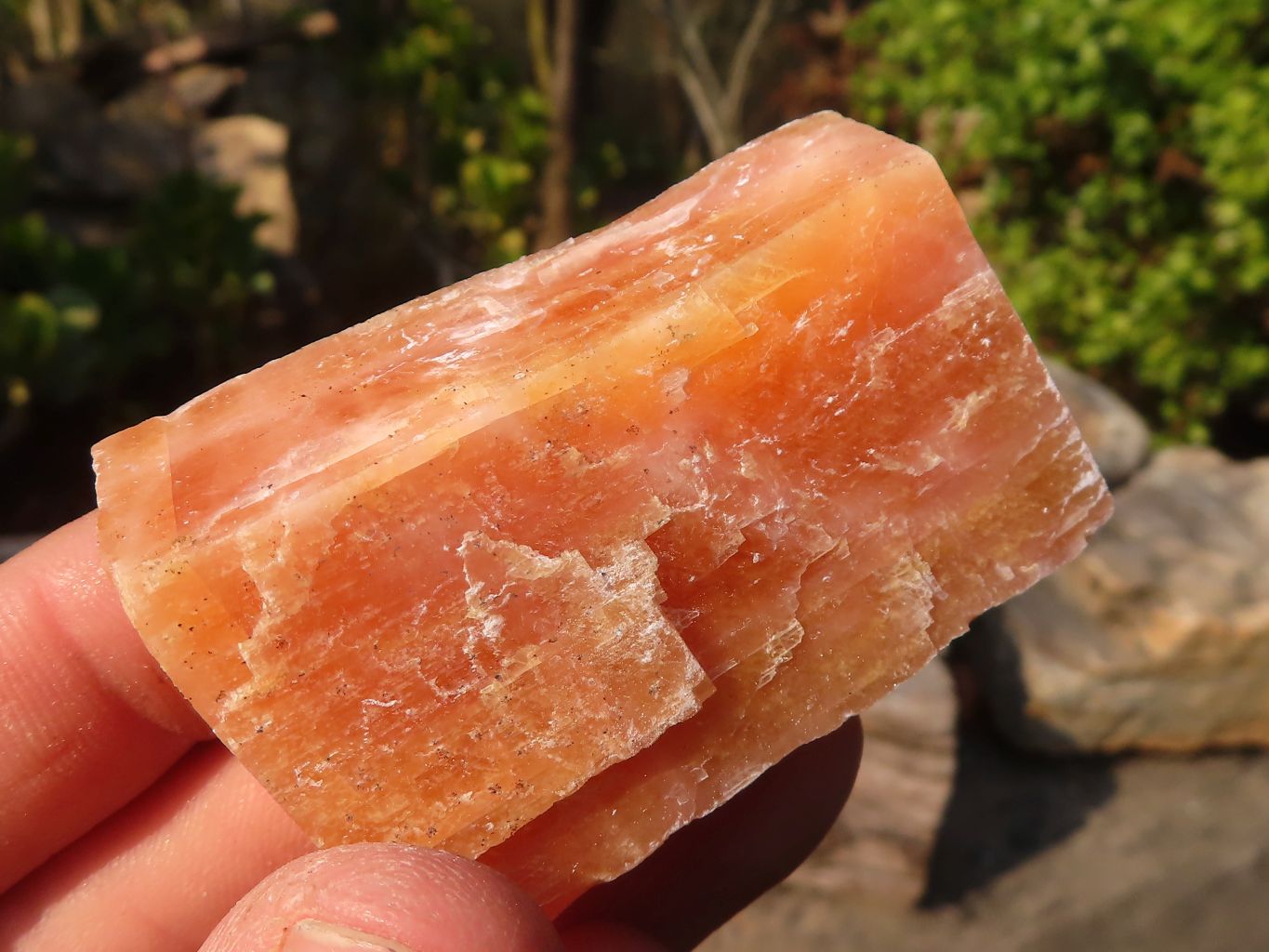 Natural New Sunset Orange Calcite Specimens  x 24 From Spitzkop, Namibia - Toprock Gemstones and Minerals 