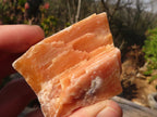 Natural New Sunset Orange Calcite Specimens  x 24 From Spitzkop, Namibia - Toprock Gemstones and Minerals 