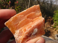 Natural New Sunset Orange Calcite Specimens  x 24 From Spitzkop, Namibia - Toprock Gemstones and Minerals 