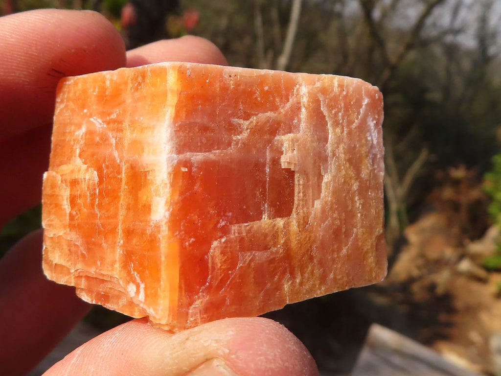 Natural New Sunset Orange Calcite Specimens  x 24 From Spitzkop, Namibia - Toprock Gemstones and Minerals 