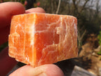 Natural New Sunset Orange Calcite Specimens  x 24 From Spitzkop, Namibia - Toprock Gemstones and Minerals 
