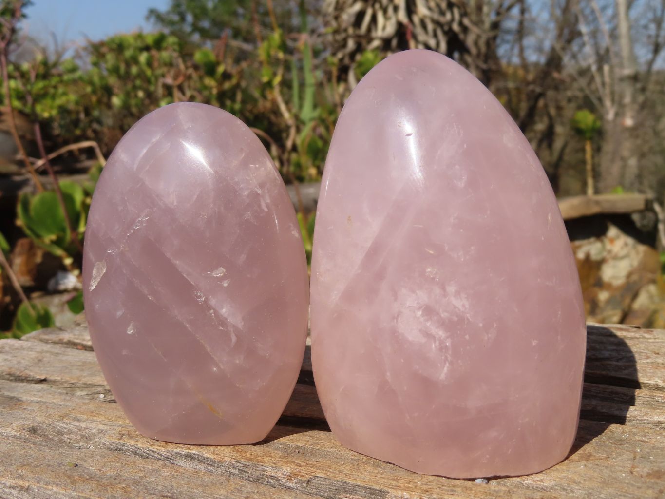 Polished Pink Rose Quartz Standing Free Forms x 6 From Antsirabe, Madagascar - Toprock Gemstones and Minerals 