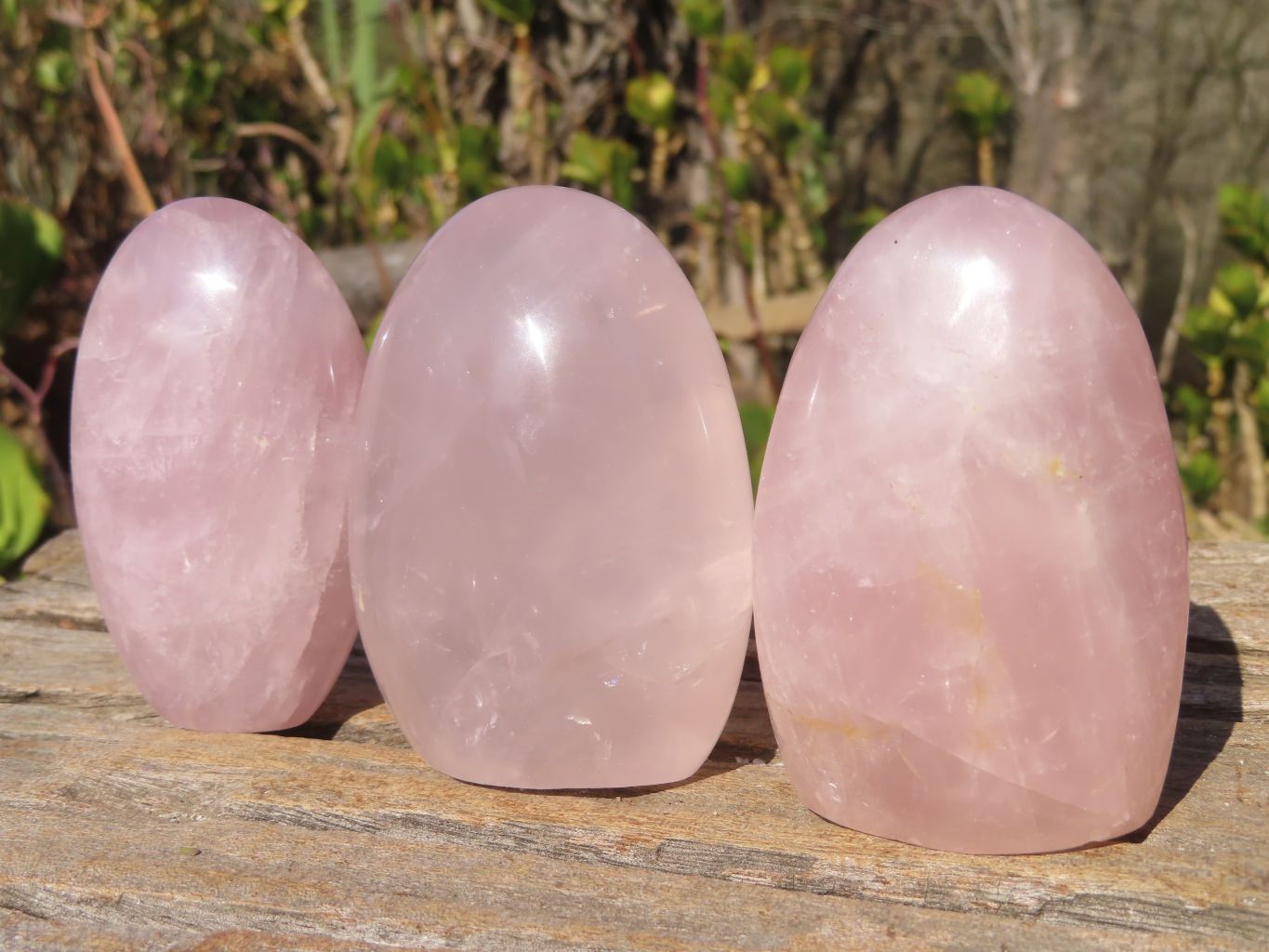 Polished Pink Rose Quartz Standing Free Forms x 6 From Antsirabe, Madagascar - Toprock Gemstones and Minerals 