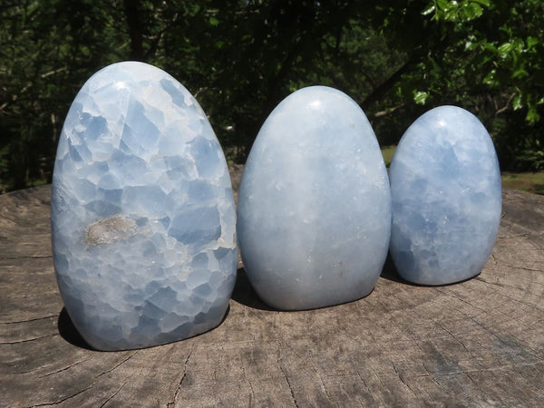 Polished Stunning Blue Calcite Standing Free Forms  x 3 From Madagascar - TopRock