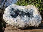 Natural Blue Celestite Geode Specimen  x 1 From Sakoany, Madagascar - Toprock Gemstones and Minerals 