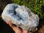Natural Blue Celestite Geode Specimen  x 1 From Sakoany, Madagascar - Toprock Gemstones and Minerals 