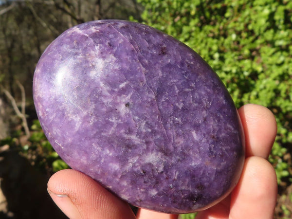 Polished Purple Lepidolite Palm Stones  x 6 From Zimbabwe - Toprock Gemstones and Minerals 