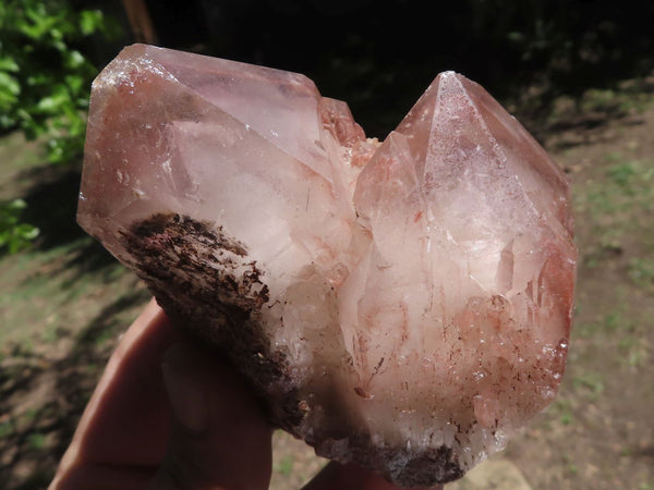 Natural Red Hematite Quartz Crystal Specimens x 6 From Karoi, Zimbabwe - TopRock