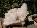 Natural Selected Candle Quartz Clusters  x 6 From Madagascar - Toprock Gemstones and Minerals 