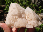 Natural Selected Candle Quartz Clusters  x 6 From Madagascar - Toprock Gemstones and Minerals 