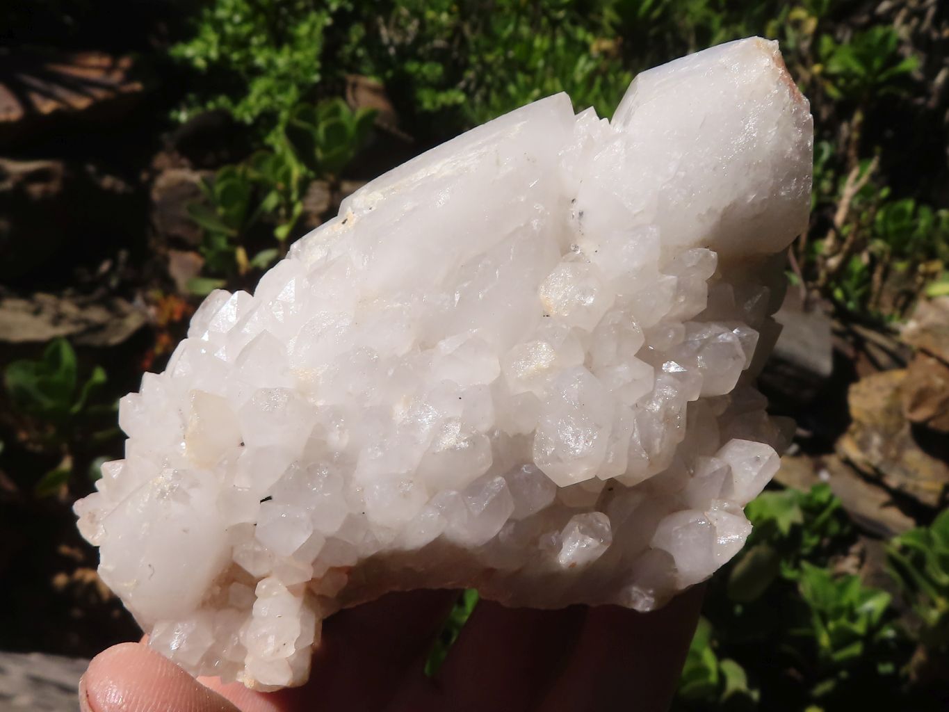 Natural Selected Candle Quartz Clusters  x 6 From Madagascar - Toprock Gemstones and Minerals 