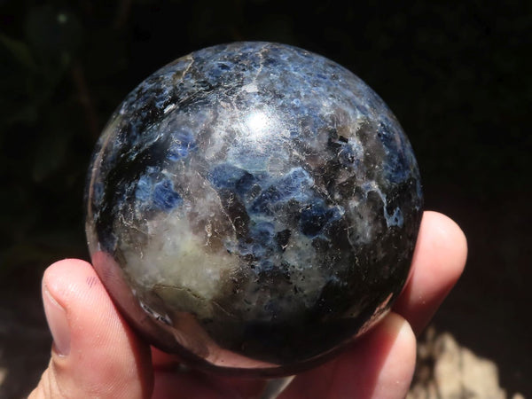 Polished Rare Iolite / Water Sapphire Spheres  x 6 From Madagascar - TopRock