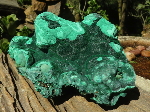 Natural Large Botryoidal Malachite Specimen  x 1 From Kasompe, Congo - Toprock Gemstones and Minerals 