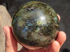Polished Labradorite Spheres  x 2 From Tulear, Madagascar - Toprock Gemstones and Minerals 