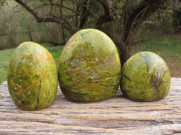 Polished Vibrant Green Opal Standing Free Forms x 3 From Antsirabe, Madagascar - TopRock