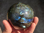 Polished Labradorite Spheres  x 2 From Tulear, Madagascar - Toprock Gemstones and Minerals 