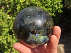 Polished Labradorite Spheres  x 2 From Tulear, Madagascar - Toprock Gemstones and Minerals 