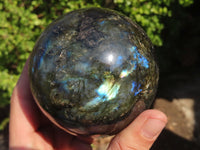 Polished Labradorite Spheres  x 2 From Tulear, Madagascar - Toprock Gemstones and Minerals 