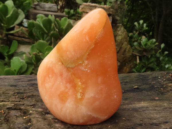 Polished Orange Twist Calcite Standing Free Form  x 1 From Madagascar - TopRock