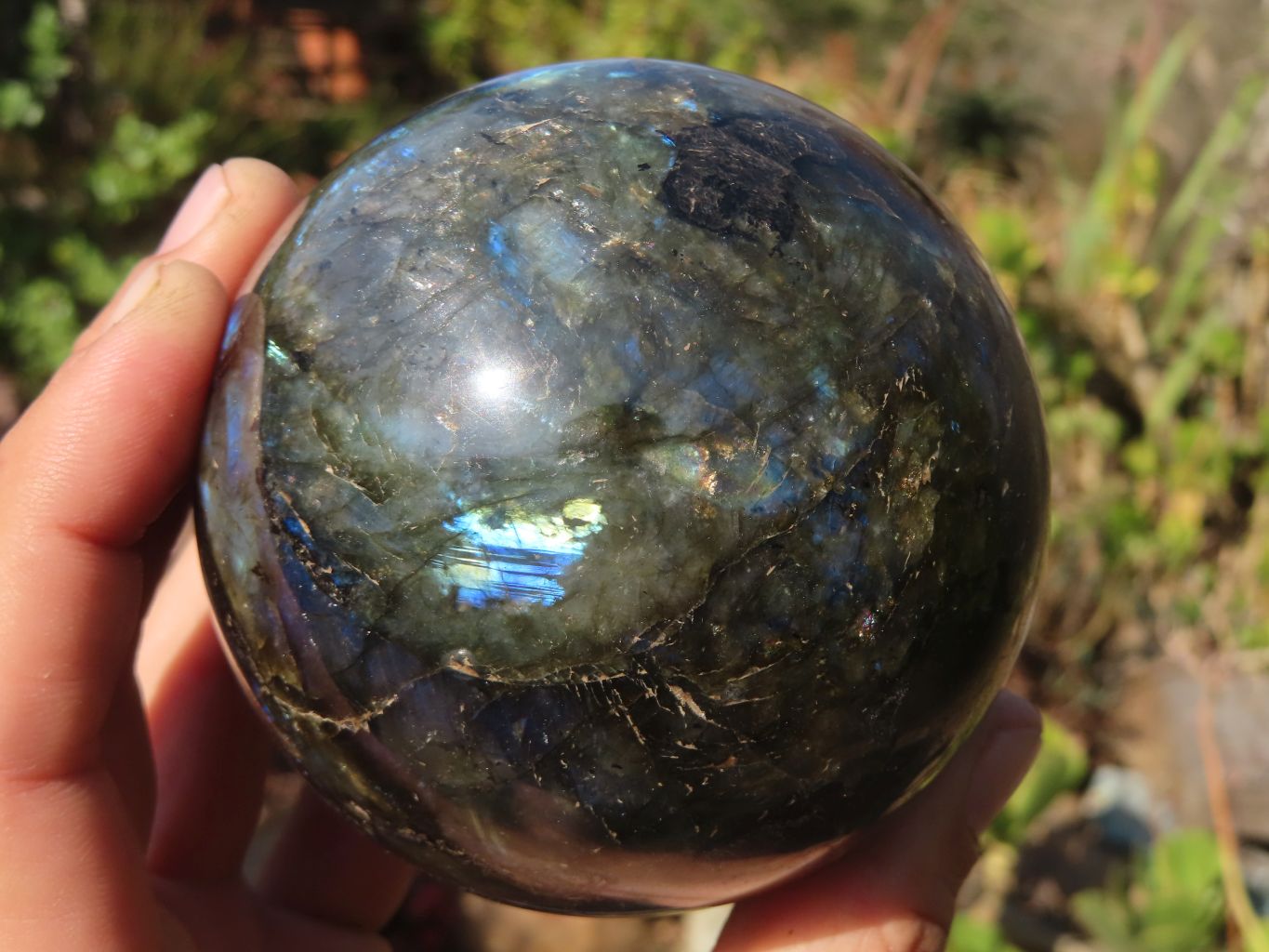 Polished Labradorite Spheres  x 2 From Tulear, Madagascar - Toprock Gemstones and Minerals 