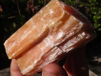 Natural New Sunset Orange Calcite Specimens  x 12 From Spitzkop, Namibia - Toprock Gemstones and Minerals 
