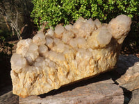 Natural Huge Cascading White Phantom Smokey Quartz Cluster x 1 From Luena, Congo - Toprock Gemstones and Minerals 