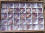 Natural Jacaranda Amethyst Crystals x 35 From Zambia - Toprock Gemstones and Minerals 