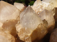 Natural Huge Cascading White Phantom Smokey Quartz Cluster x 1 From Luena, Congo - Toprock Gemstones and Minerals 