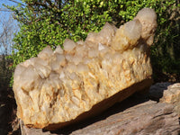 Natural Huge Cascading White Phantom Smokey Quartz Cluster x 1 From Luena, Congo - Toprock Gemstones and Minerals 