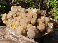 Natural Huge Cascading White Phantom Smokey Quartz Cluster x 1 From Luena, Congo - Toprock Gemstones and Minerals 