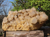 Natural Huge Cascading White Phantom Smokey Quartz Cluster x 1 From Luena, Congo - Toprock Gemstones and Minerals 